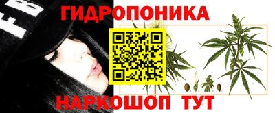 spice Апшеронск