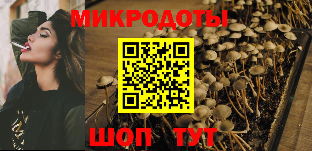 Волгодонск  Галлюциногенные грибы MAGIC MUSHROOMS  купить наркотик  Вход с VPN 